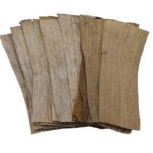 Banana leaves 20st